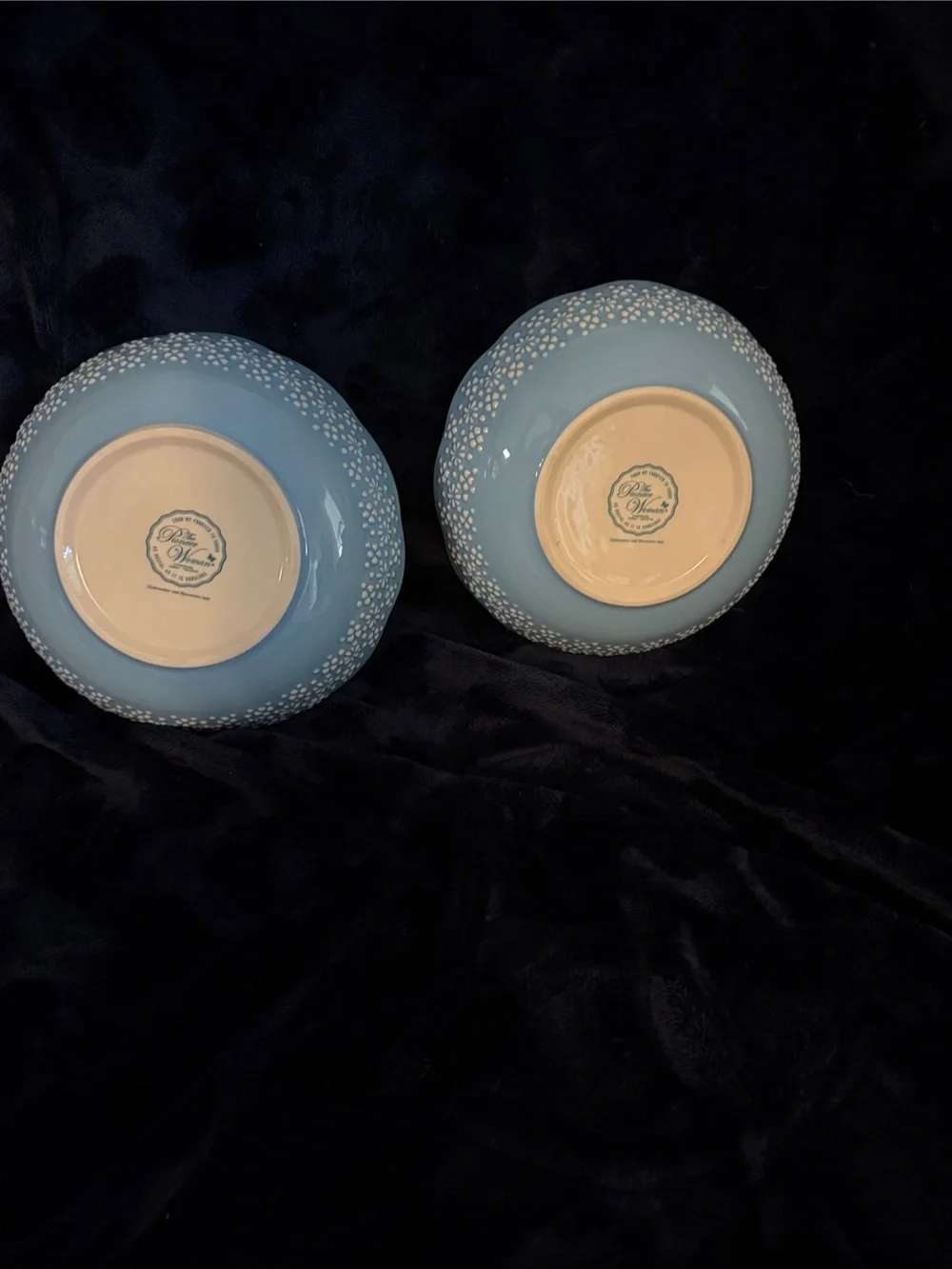 The Pioneer Woman 2 piece Bowl Set - Blue & Red Flower Motif